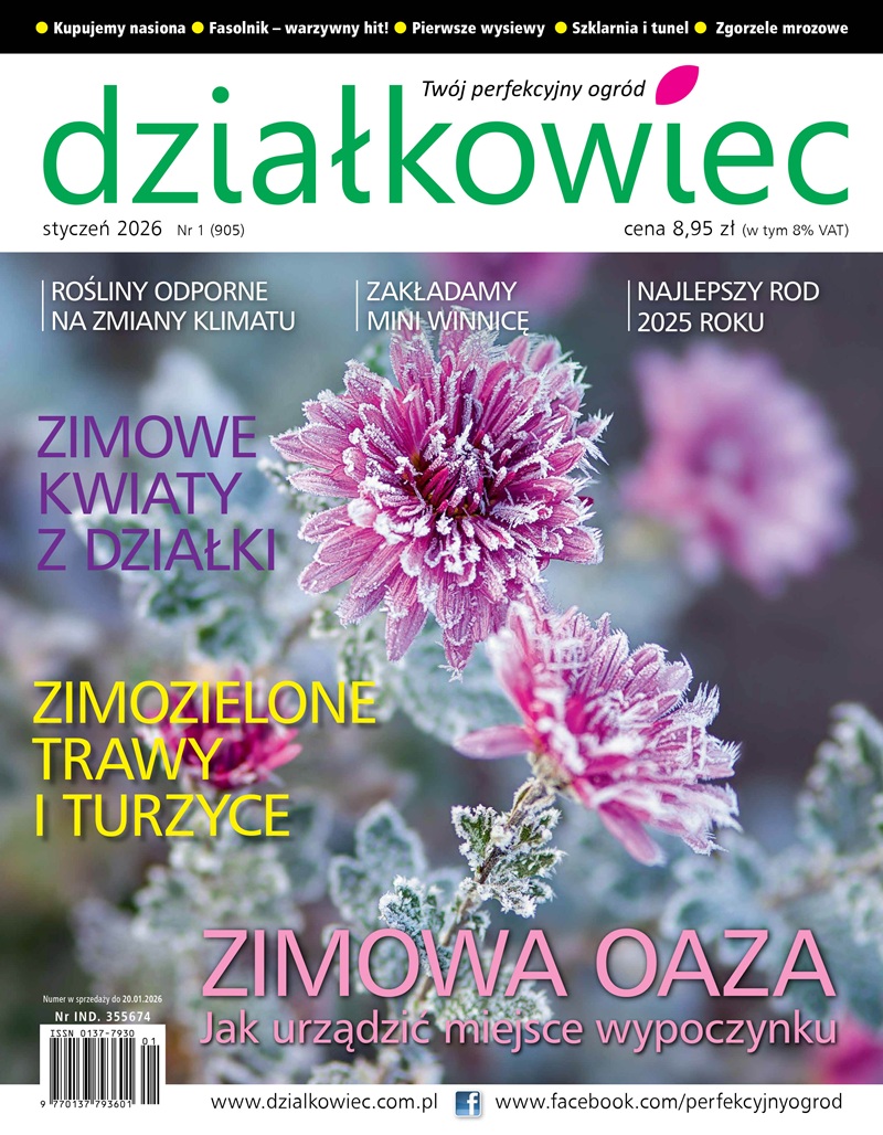 Działkowiec 1/2026 e-wydanie