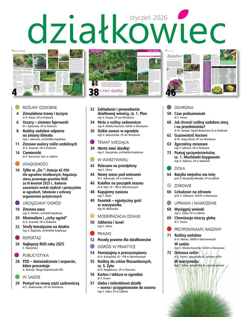 Działkowiec 1/2026 e-wydanie - obrazek 2