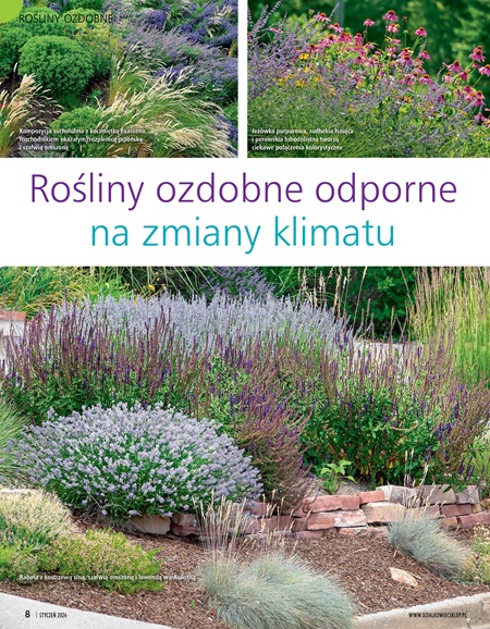 Działkowiec 1/2026 e-wydanie - obrazek 4