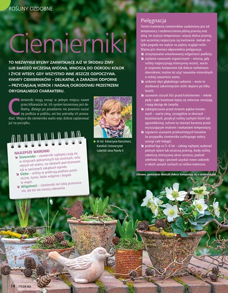 Działkowiec 1/2026 e-wydanie - obrazek 5