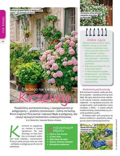 Mój Ogródek 2/2026 - obrazek 5