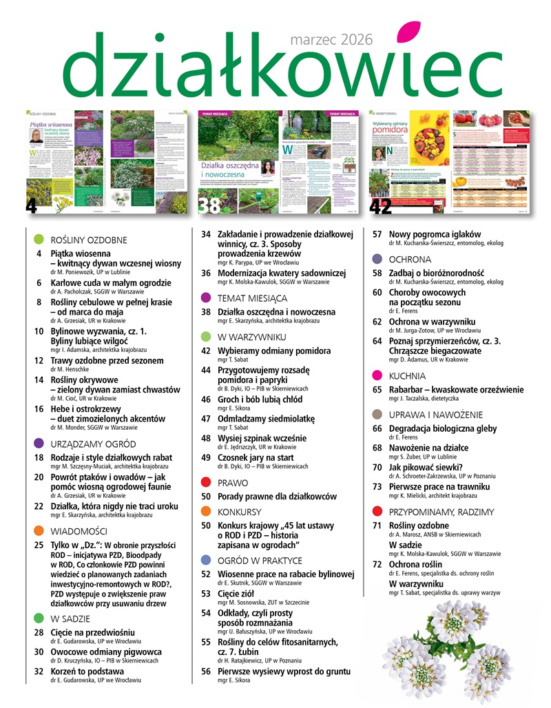 Działkowiec 3/2026 - obrazek 2