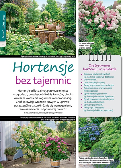 Mój Ogródek 3/2026 - obrazek 3