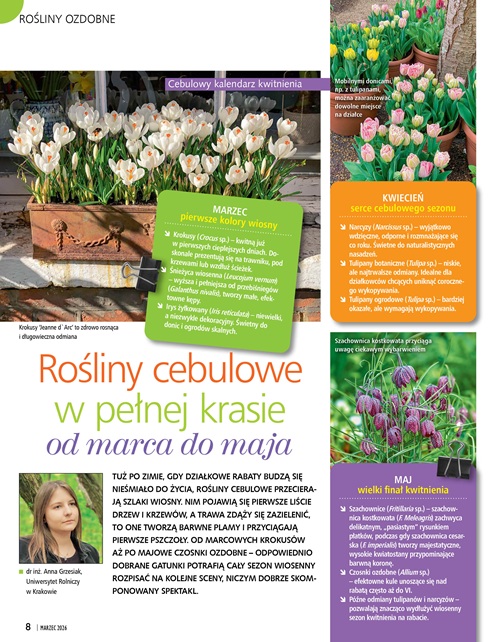 Działkowiec 3/2026 - obrazek 4