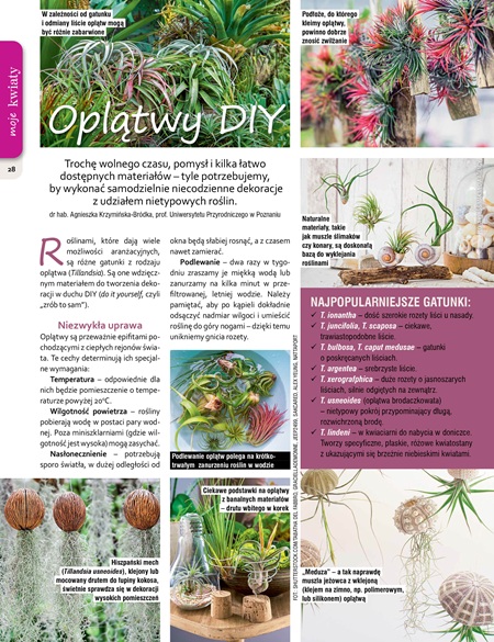 Mój Ogródek 3/2026 - obrazek 4