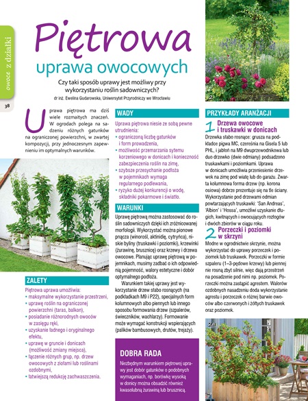 Mój Ogródek 3/2026 - obrazek 5