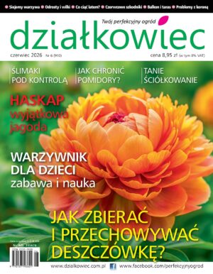 Działkowiec 6/2026
