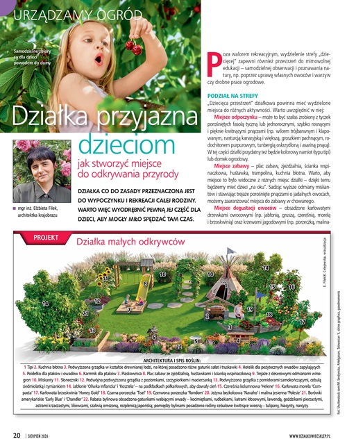 Działkowiec 8/2026 - obrazek 4