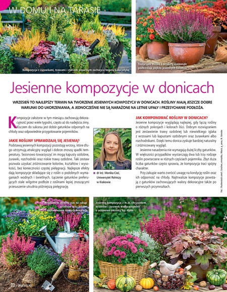 Działkowiec 9/2026 - obrazek 4