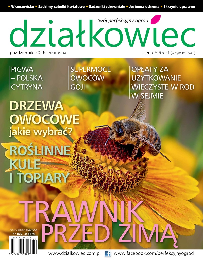 Działkowiec 10/2026