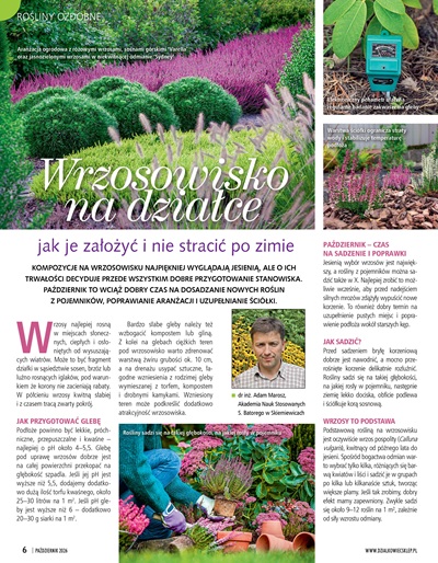 Działkowiec 10/2026 - obrazek 3