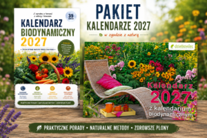 Pakiet kalendarz książkowy + ścienny 2027