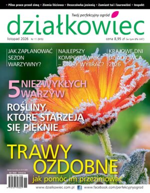 Działkowiec 11/2026 e-wydanie